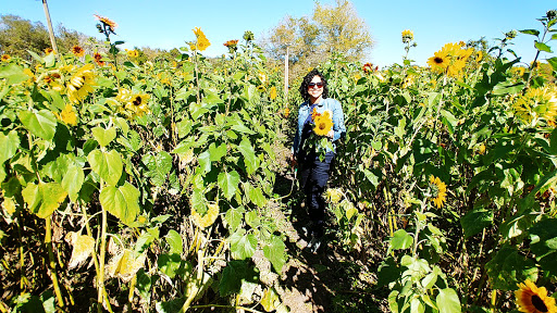 Amusement Center «Stanley Pond Adventure Farm», reviews and photos, 15426 County Rd 48, Astatula, FL 34705, USA