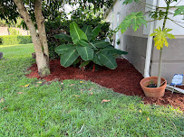 Lux Landscape Plus Corp - Photo 6 - Car repair in , Kissimmee