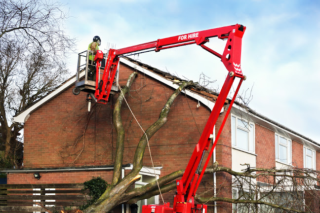 Comments and reviews of York Tree Surgeons