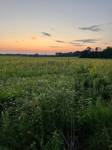 Nature Preserve «Midewin National Tallgrass Prairie», reviews and photos, 30239 S. State Route 53, Wilmington, IL 60481, USA