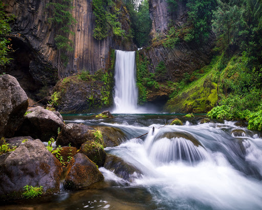 National Forest «Umpqua National Forest», reviews and photos, 1121 Houser Ct, Idleyld Park, OR 97447, USA