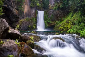 Umpqua National Forest image