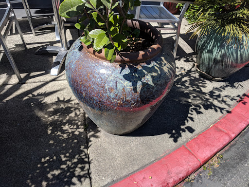 Shopping Mall «The Plaza North», reviews and photos, 259B N McDowell Blvd, Petaluma, CA 94954, USA