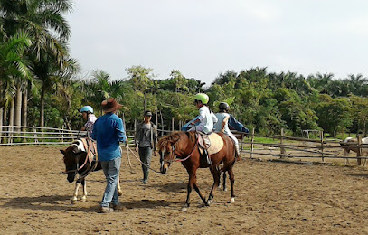 Trường dạy cưỡi ngựa