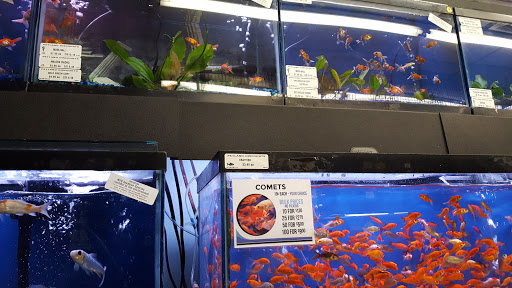 Pet Supply Store «Petland Discounts - Flushing», reviews and photos, 37-20 Main St, Flushing, NY 11354, USA