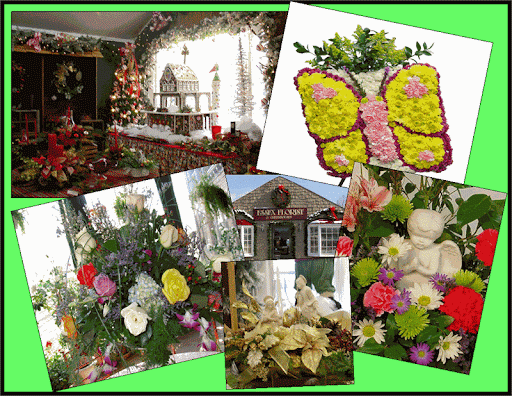 Florist «Essex Florist & Greenhouses», reviews and photos, 341 S Marlyn Ave, Essex, MD 21221, USA
