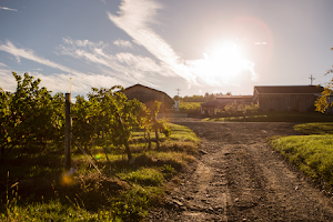 McGregor Vineyard image