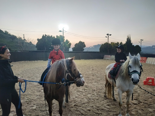 Horse riding lessons Jerusalem