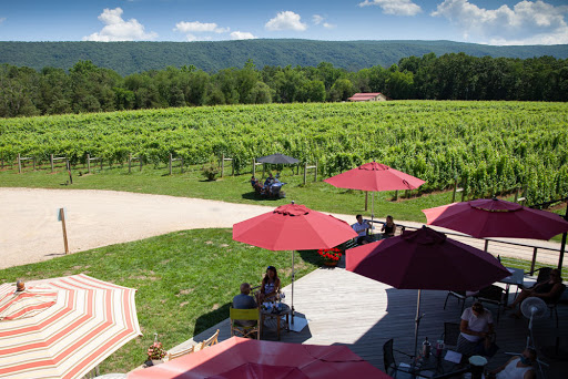 Vineyard «Muse Vineyards», reviews and photos, 16 Serendipity Ln, Woodstock, VA 22664, USA