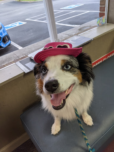 Dry Cleaner «Prestige Cleaners Inc», reviews and photos, 11428 Kingston Pike, Knoxville, TN 37934, USA