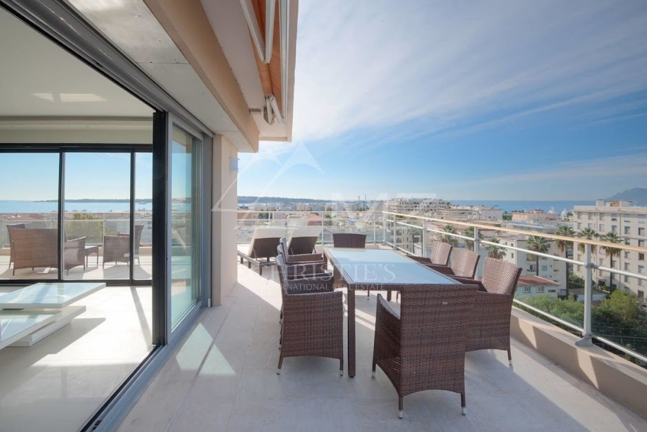 Michaël Zingraf Real Estate | Agence Immobilière Cannes Palm Beach à Cannes (Alpes-Maritimes 06)