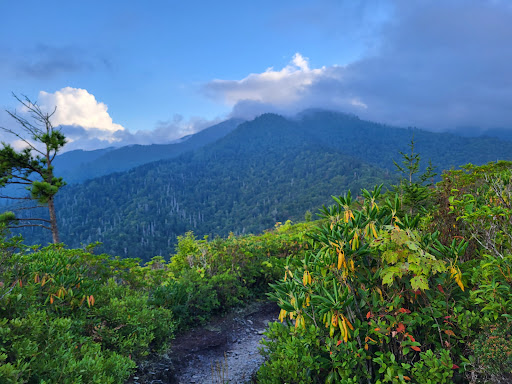 Brushy Mountain