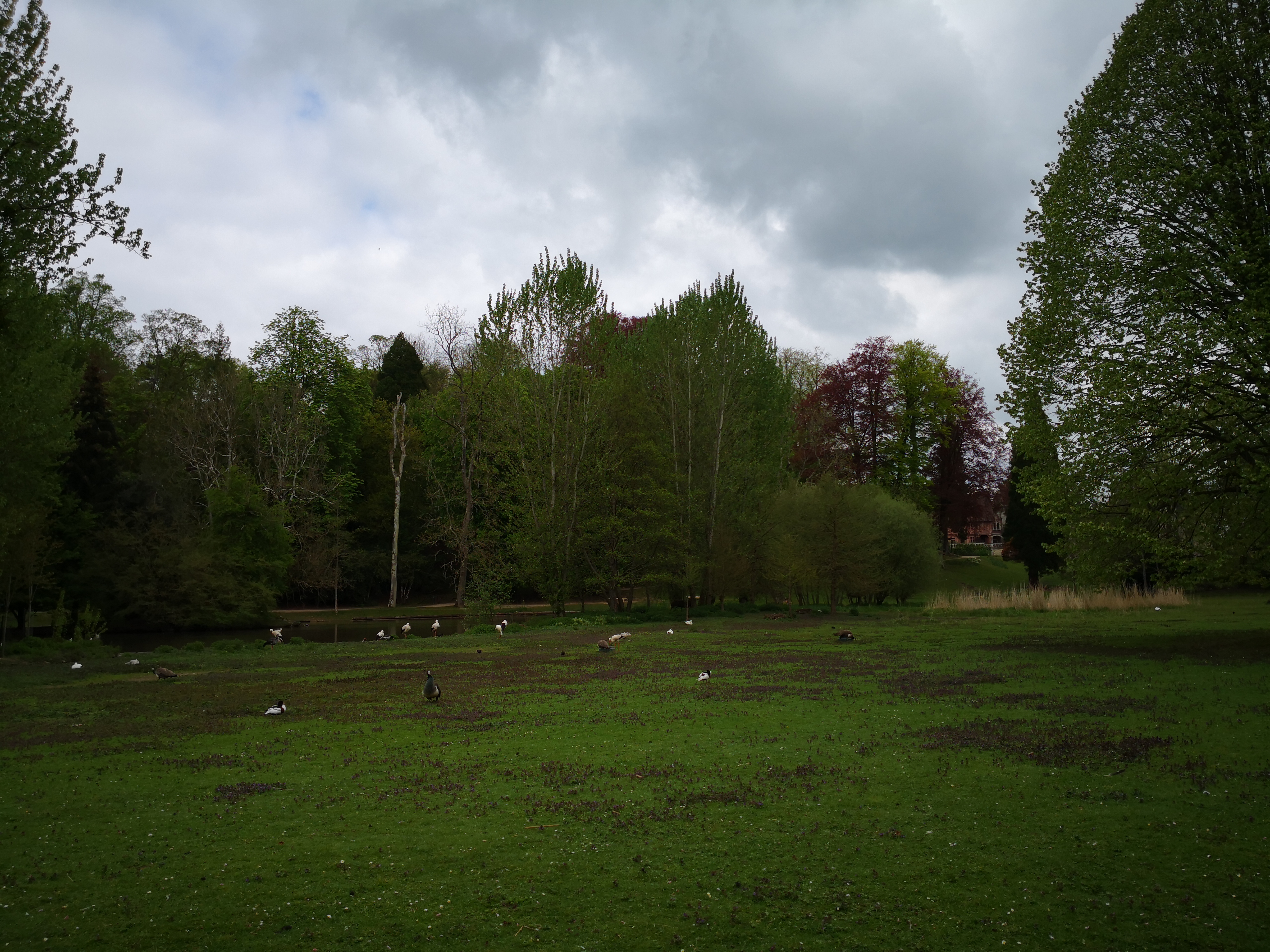 Photo n° 7 de l'avis de Mélanie. fait le 02/05/2019 à 08:22