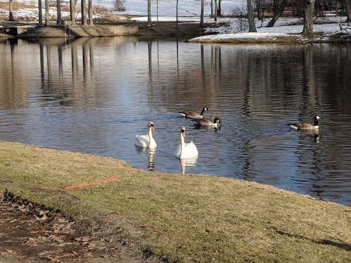 Park «Larz Anderson Park», reviews and photos, 325 Goddard Ave, Brookline, MA 02445, USA