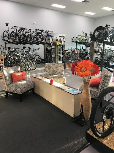 Bicycle Store «Paradise Bicycles», reviews and photos, 9377 6 Mile Cypress Pkwy, Fort Myers, FL 33966, USA