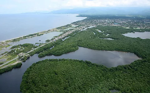 Ciénaga Grande de Santa Marta image