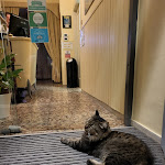 Photo n°12 de l'avis de Dita.u fait le 25/09/2023 à 10:20 sur le  Albergo Santa Lucia à Venice