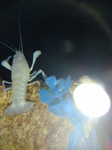 Pet Supply Store «Petco Animal Supplies», reviews and photos, 990 Brook Forest Ave, Shorewood, IL 60431, USA