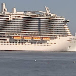 Photo n°1 de l'avis de Cataldo.a fait le 15/07/2021 à 19:36 sur le  Nuovo Bar Testa à Albissola Marina