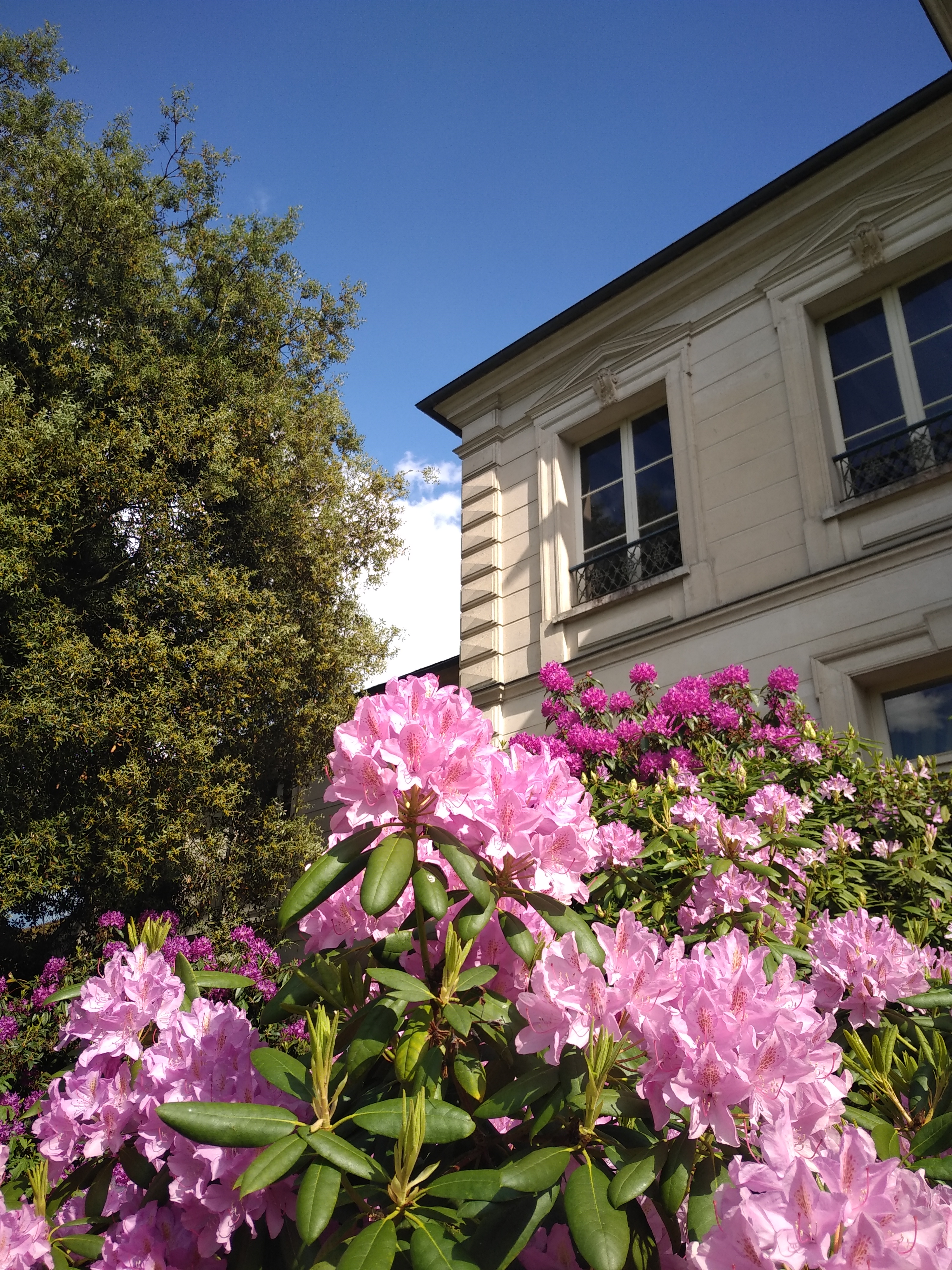 Photo n° 1 de l'avis de Antoine.a fait le 25/05/2019 à 16:39