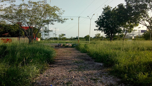 Campo Verde Los Paseos