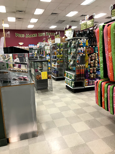 Pet Store «Petland Vineyard - San Antonio», reviews and photos, 1309 North Loop 1604 W #101, San Antonio, TX 78258, USA