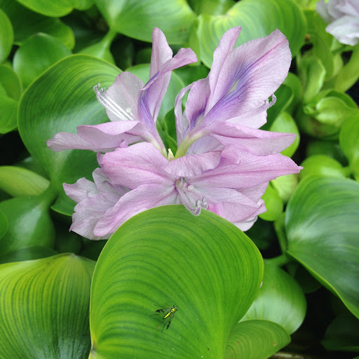 Gift Shop «Pondering Creations Farm», reviews and photos, 101 Allen St, Terryville, CT 06786, USA