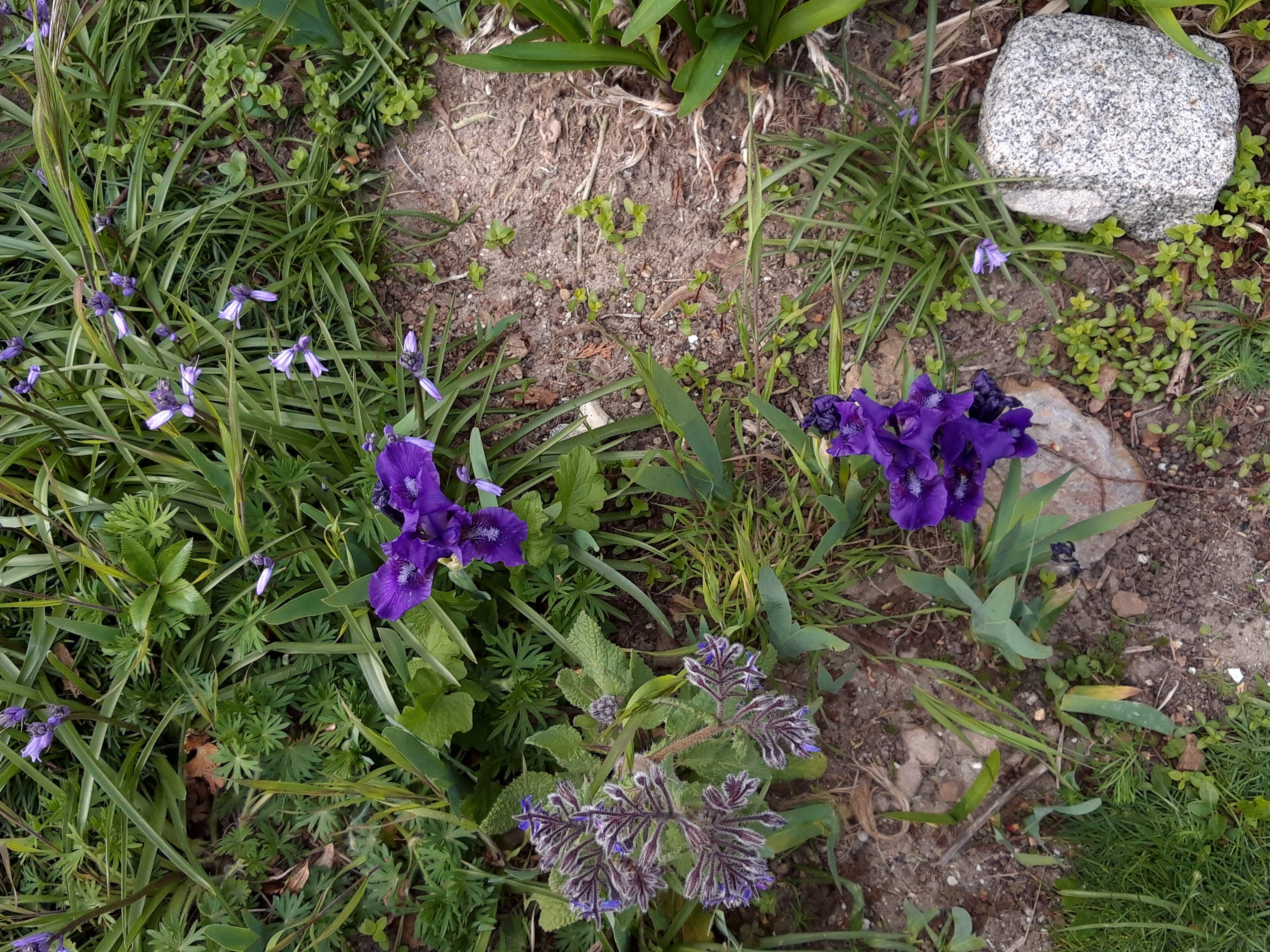 Photo n° 10 de l'avis de Lucinda.l fait le 16/04/2019 à 08:10