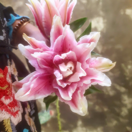 Florist «Mayfield Florist», reviews and photos, 1610 N Tucson Blvd, Tucson, AZ 85716, USA