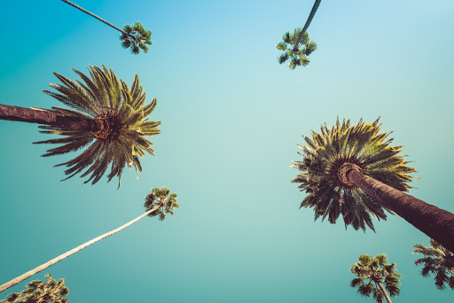 Glen Helen Regional Park image
