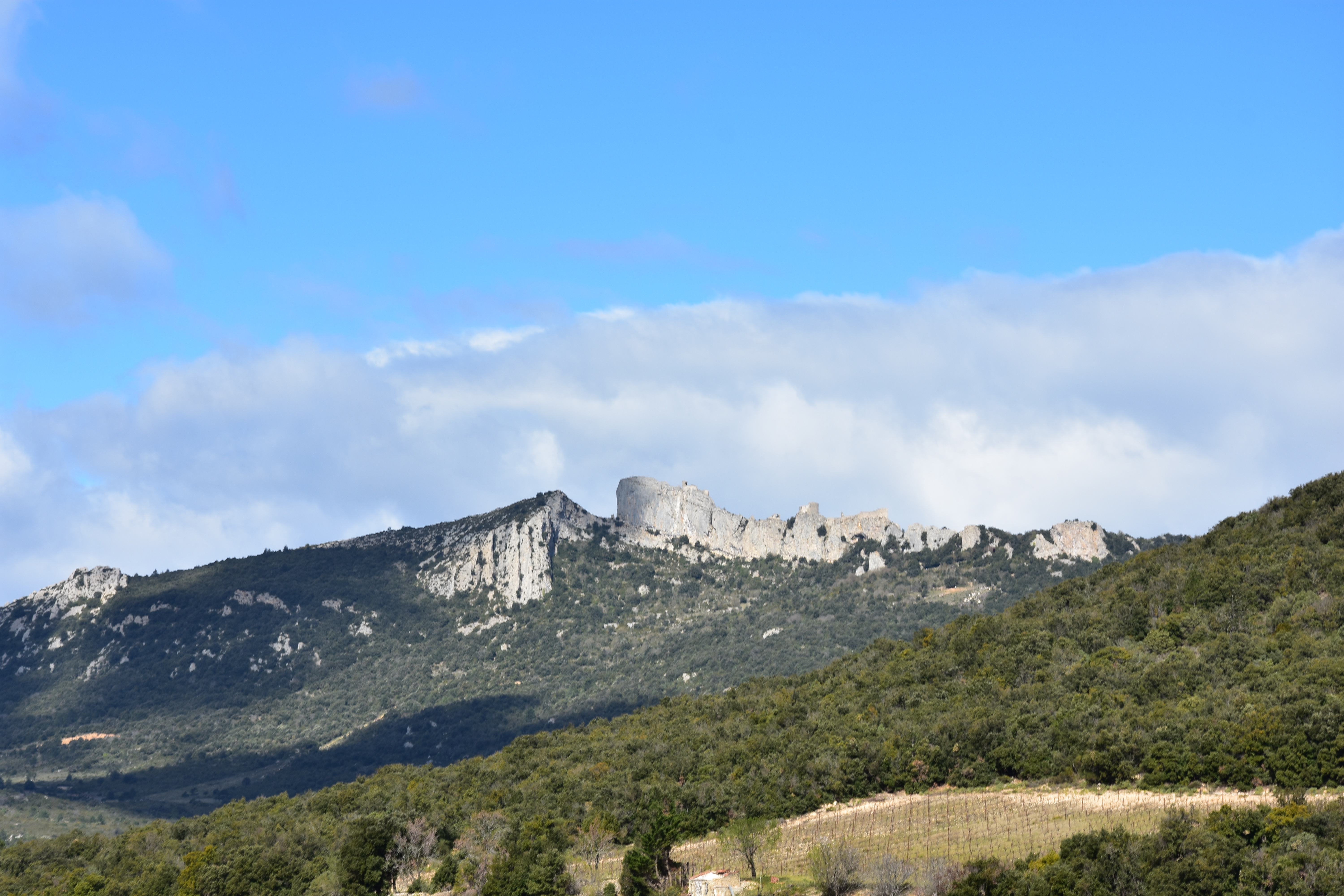 Photo n° 1 de l'avis de laura.h fait le 17/03/2019 à 13:29