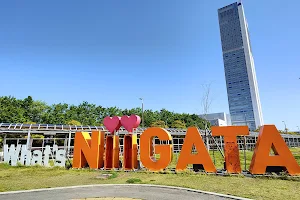 What's NiiGATA image