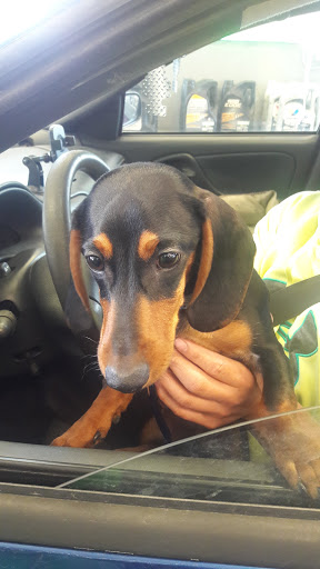 Auto Body Shop «LOF-Xpress Oil Change - Ames», reviews and photos, 520 S Duff Ave, Ames, IA 50010, USA