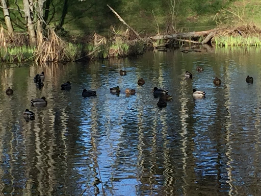 Park «Discovery Park», reviews and photos, 3801 Discovery Park Blvd, Seattle, WA 98199, USA