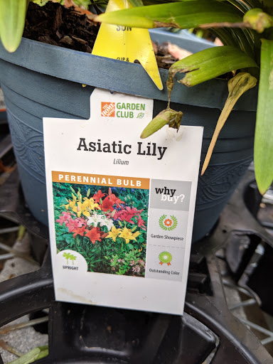 Home Improvement Store «The Home Depot», reviews and photos, 10850 Plum Dr, Urbandale, IA 50322, USA