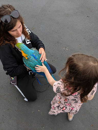 Pet Supply Store «PetSmart», reviews and photos, 1157 E North Ave, Belton, MO 64012, USA