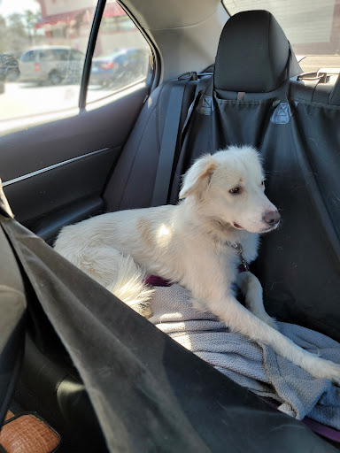 Pet Supply Store «Care-A-Lot Pet Supply Oyster Point», reviews and photos, 301 Oyster Point Rd, Newport News, VA 23602, USA