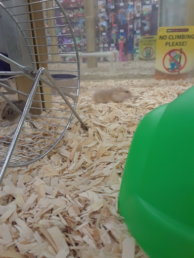 Pet Supply Store «Pet Supermarket, Inc.», reviews and photos, 598 N McCarran Blvd, Sparks, NV 89431, USA
