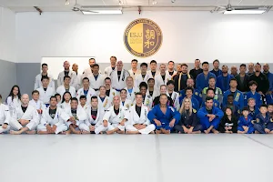 Excellence School of Jiu-Jitsu image