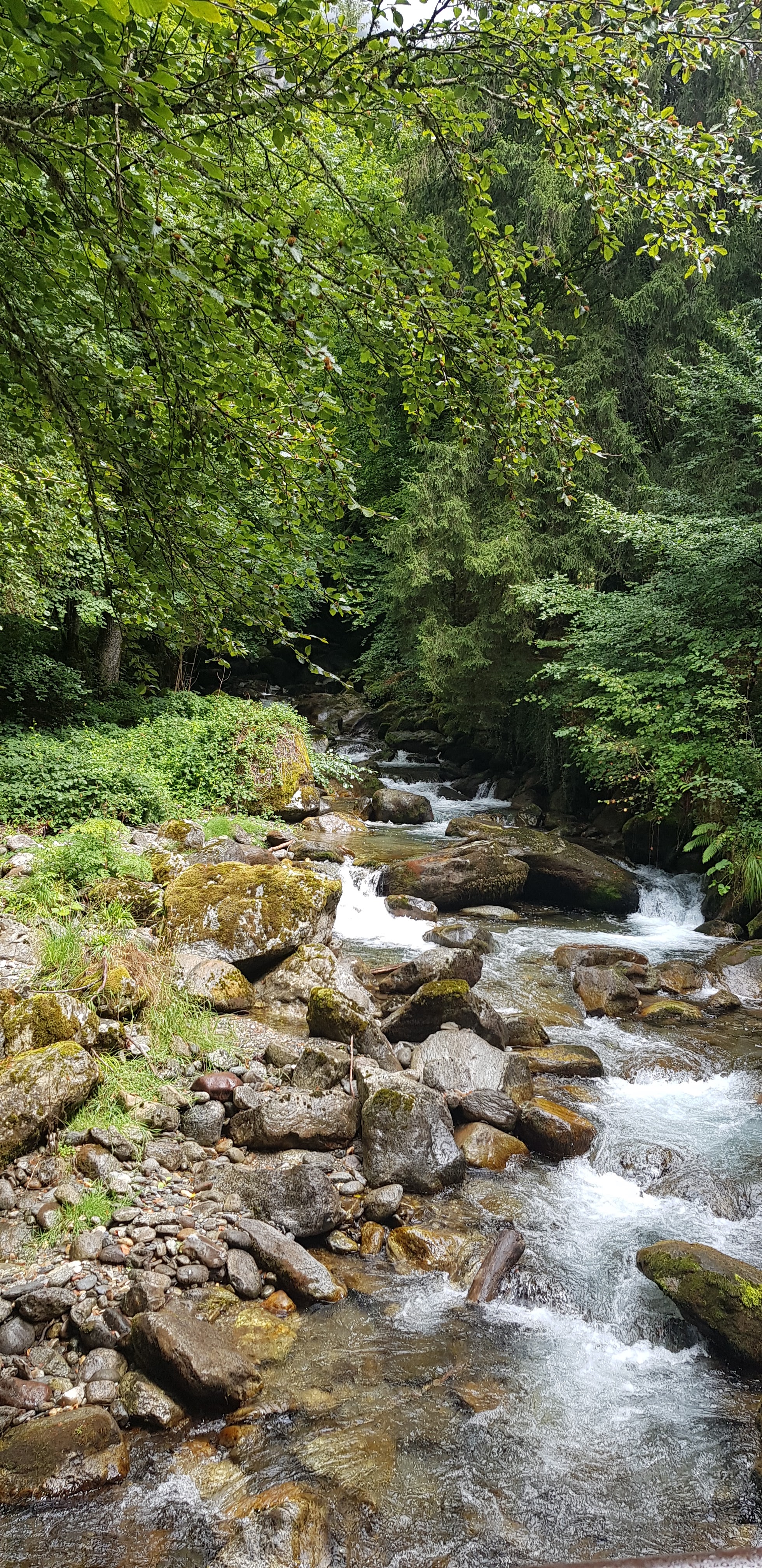 Photo n° 3 de l'avis de Cécile.e fait le 26/08/2022 à 18:02