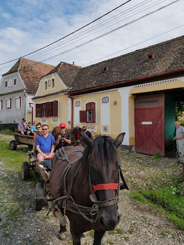 Boutique Romania Tours - Brașov
