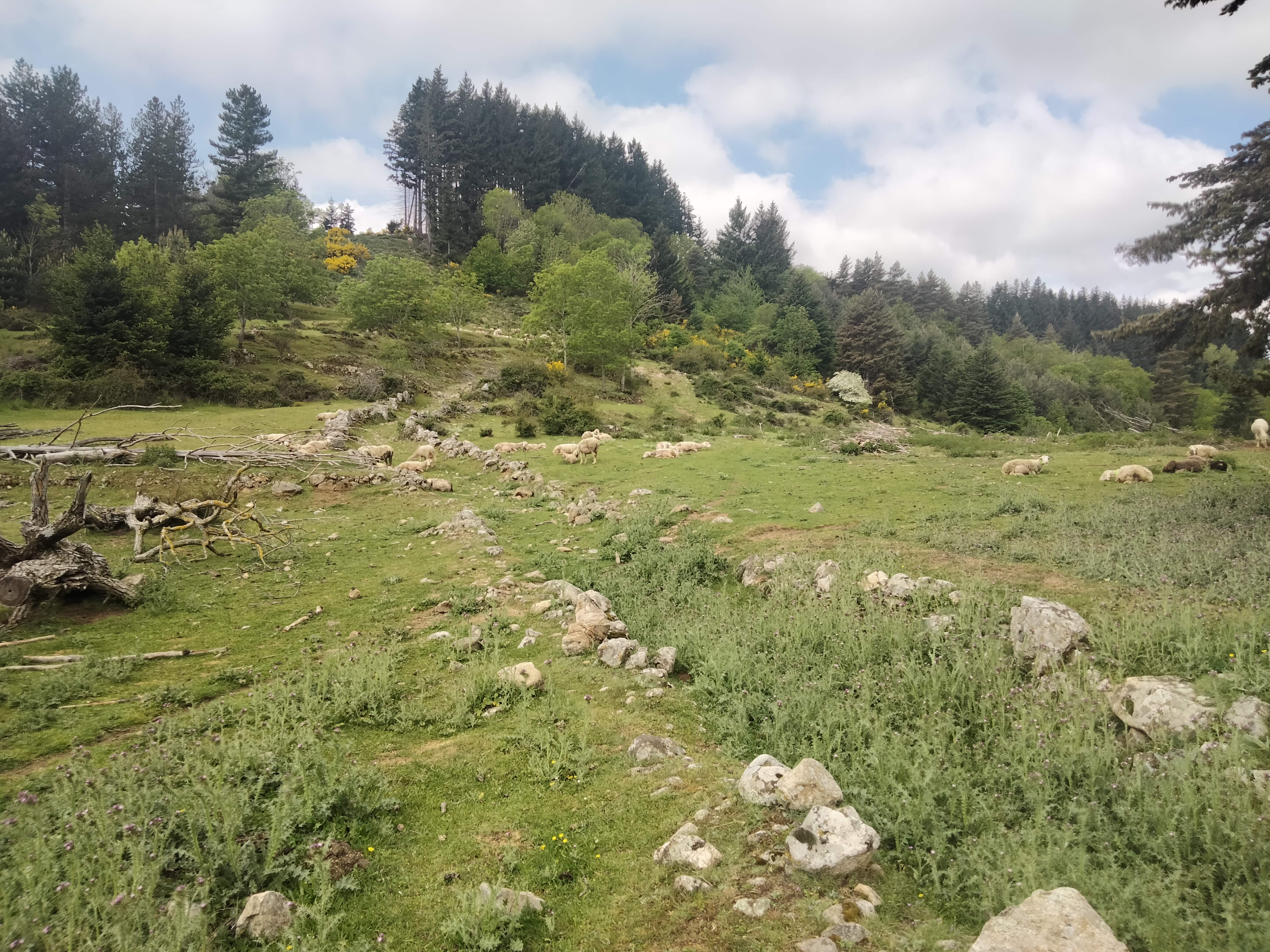 Photo n° 3 de l'avis de Ahmed.h fait le 20/05/2023 à 09:09