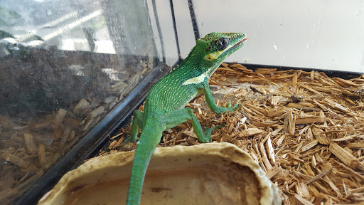 Pet Store «Mike Pet Center LLC», reviews and photos, 133 NJ-35, Neptune City, NJ 07753, USA