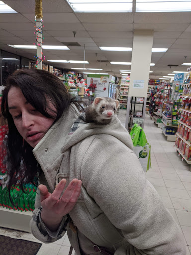 Pet Supply Store «Pet Supplies Plus», reviews and photos, 67 W Golf Rd, Arlington Heights, IL 60005, USA