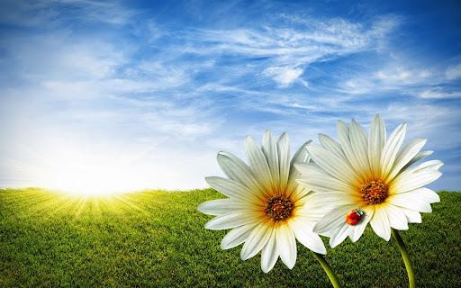 Florist «Twigs Flower Company», reviews and photos, 1616 1100 E, Salt Lake City, UT 84105, USA