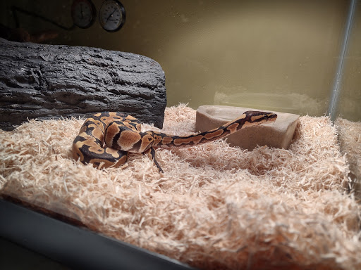 Pet Supply Store «Petco Animal Supplies», reviews and photos, 975 Savannah Hwy #137, Charleston, SC 29407, USA