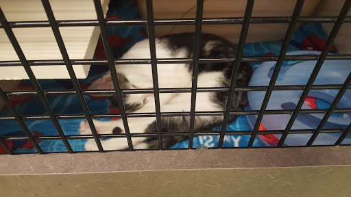 Pet Supply Store «Petco Animal Supplies», reviews and photos, 2230 Marlton Pike W #3, Cherry Hill, NJ 08002, USA