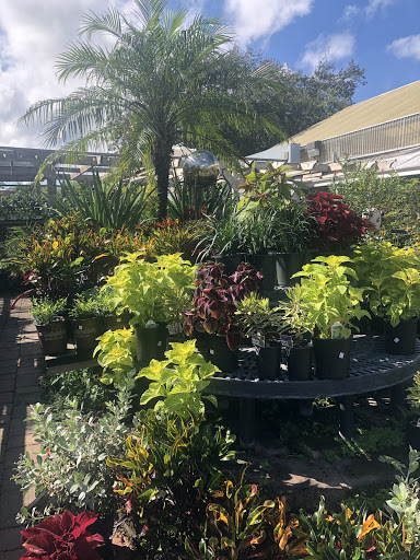 Hardware Store «Proctor Ace Hardware», reviews and photos, 870 A1A N, Ponte Vedra Beach, FL 32082, USA