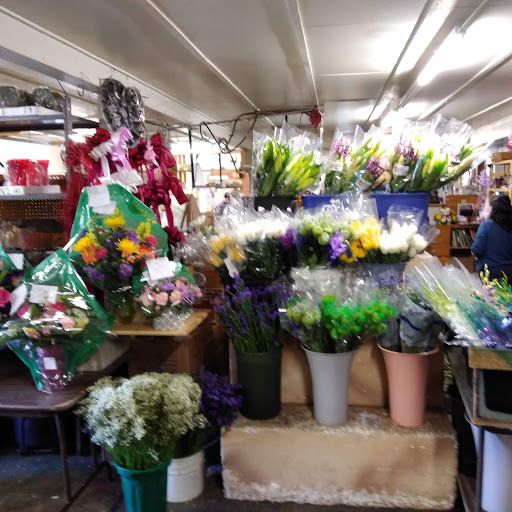 Fred's & Son Flowers & Gift Inc