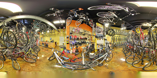 Bicycle Store «The Bike Route Inc.», reviews and photos, 8595 College Pkwy #200, Fort Myers, FL 33919, USA